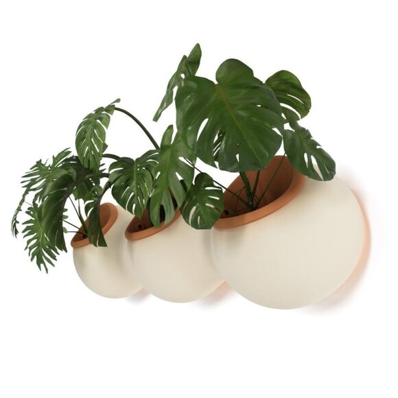 NUAGE Vertical Garden - Picture 2 of 14